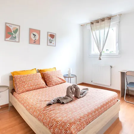 Le Colmarien Moderne - Parking Gratuit Clos - Centre Colmar